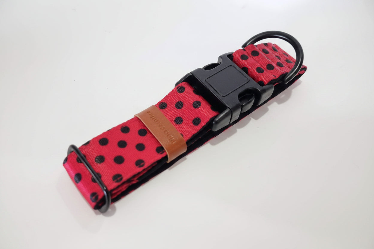 Red and black polka dot dog collar with a brown leather patch on a white background
