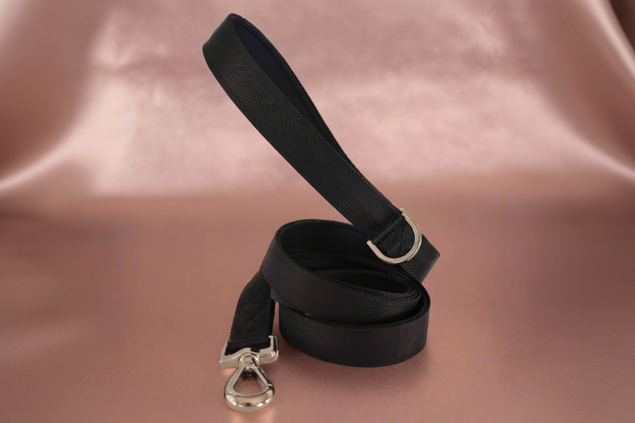 Black dog leash - neoprene padded
