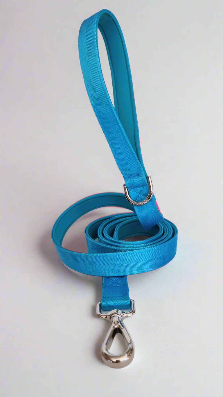 Boy dog leash