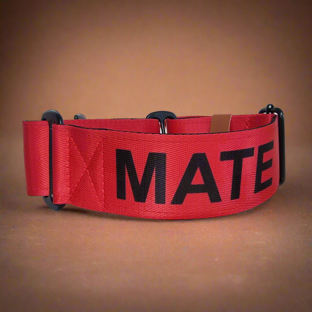 Red personalised dog collar with name