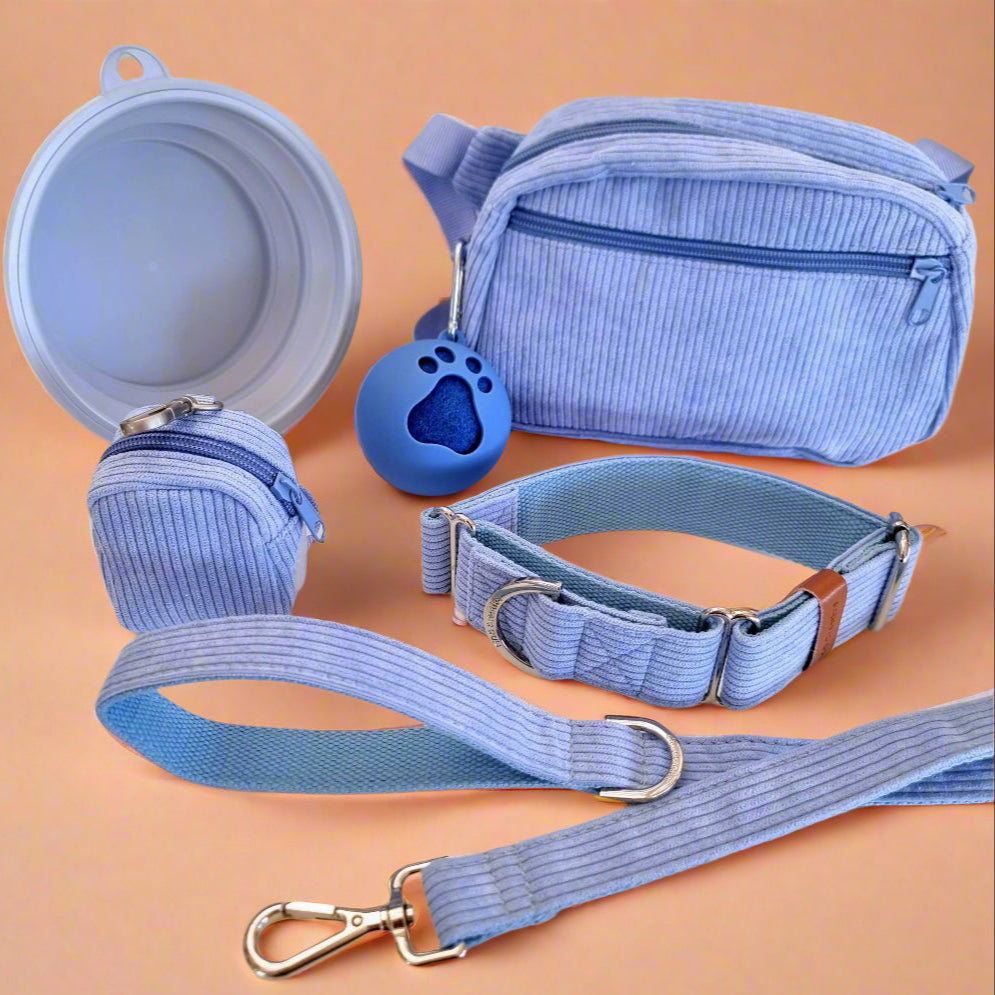 Blue Corduroy Dog collar and leash set