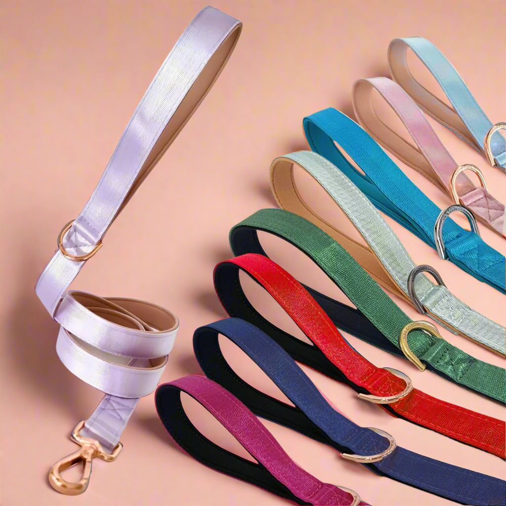 Lilac dreams dog leash - Neoprene Padded