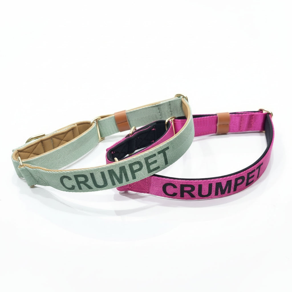 Pink Martingale Dog Collar – Padded, personalised with Dog’s Name Optional