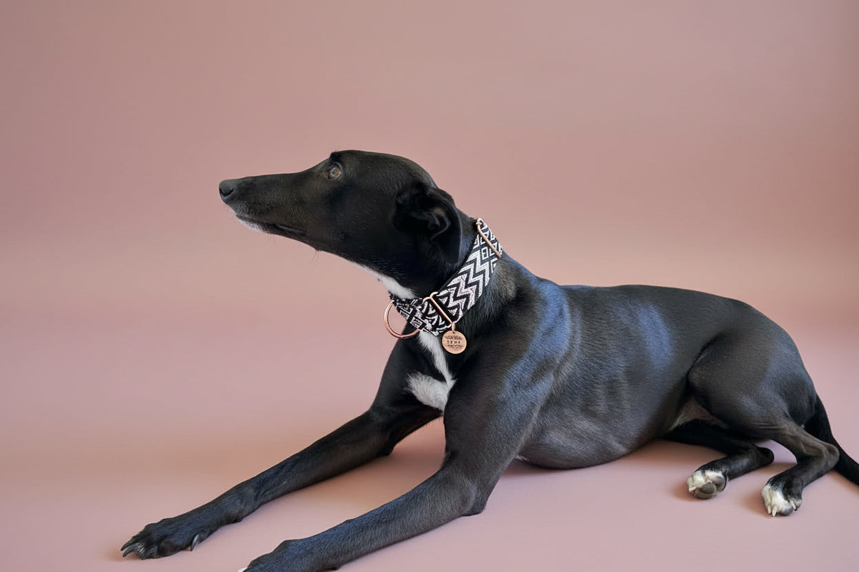 The Midnight Blush Martingale Collar – Padded Black & Pink Jacquard