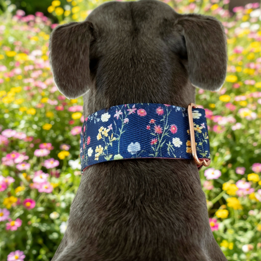 Dainty Floral Martingale Dog Collar – Padded