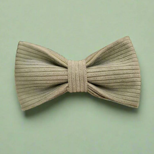 a close up of a flower in a bow tie