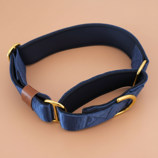 Martingale Collars Explained: What Are They and How Do They Work?