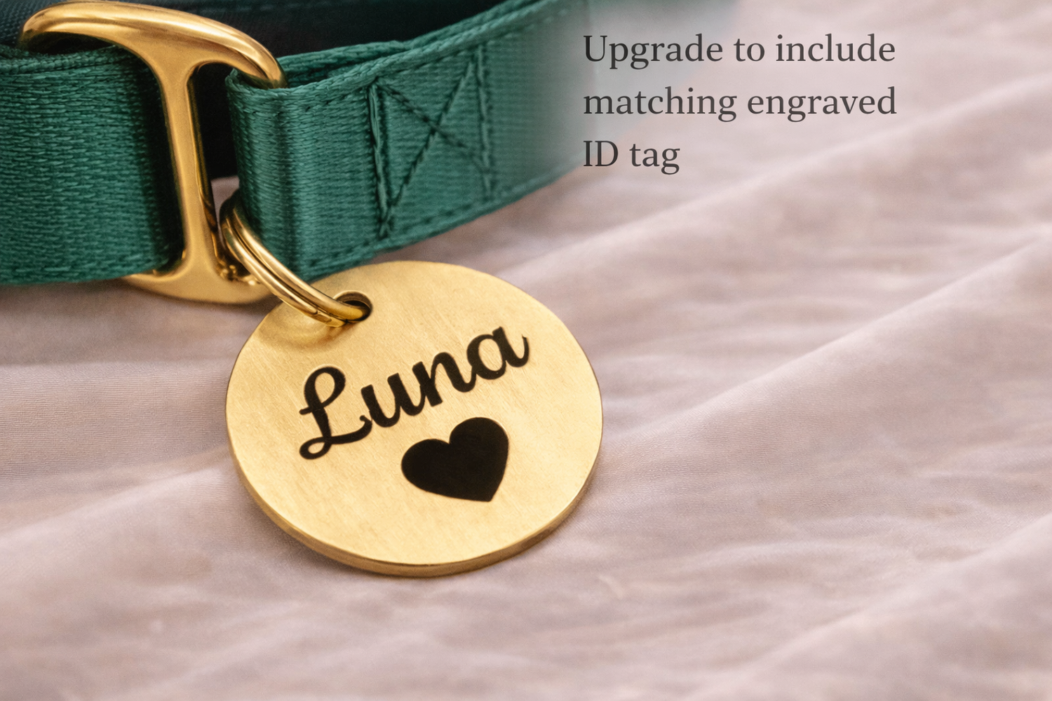 A gold-colored dog collar with a round tag attached, featuring the name "Luna" and a heart symbol.
