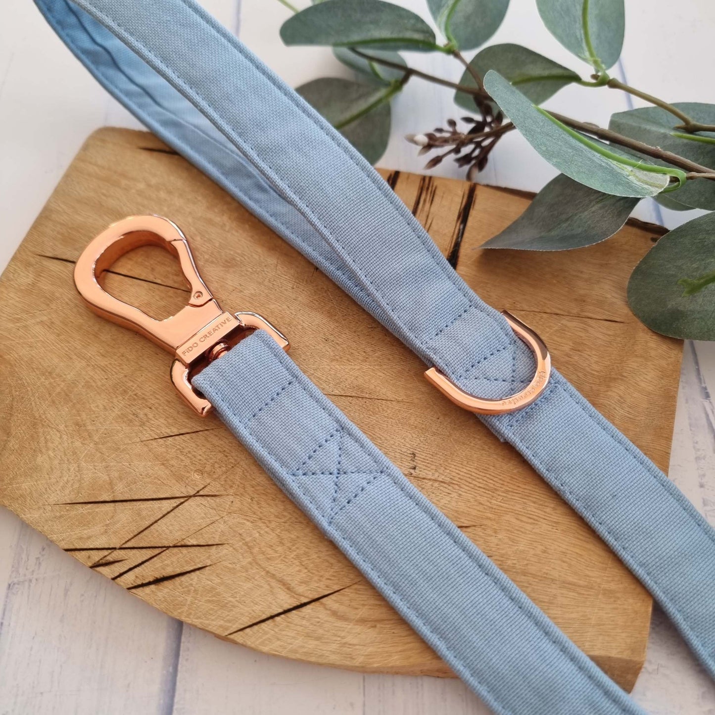 Sky Blue dog lead