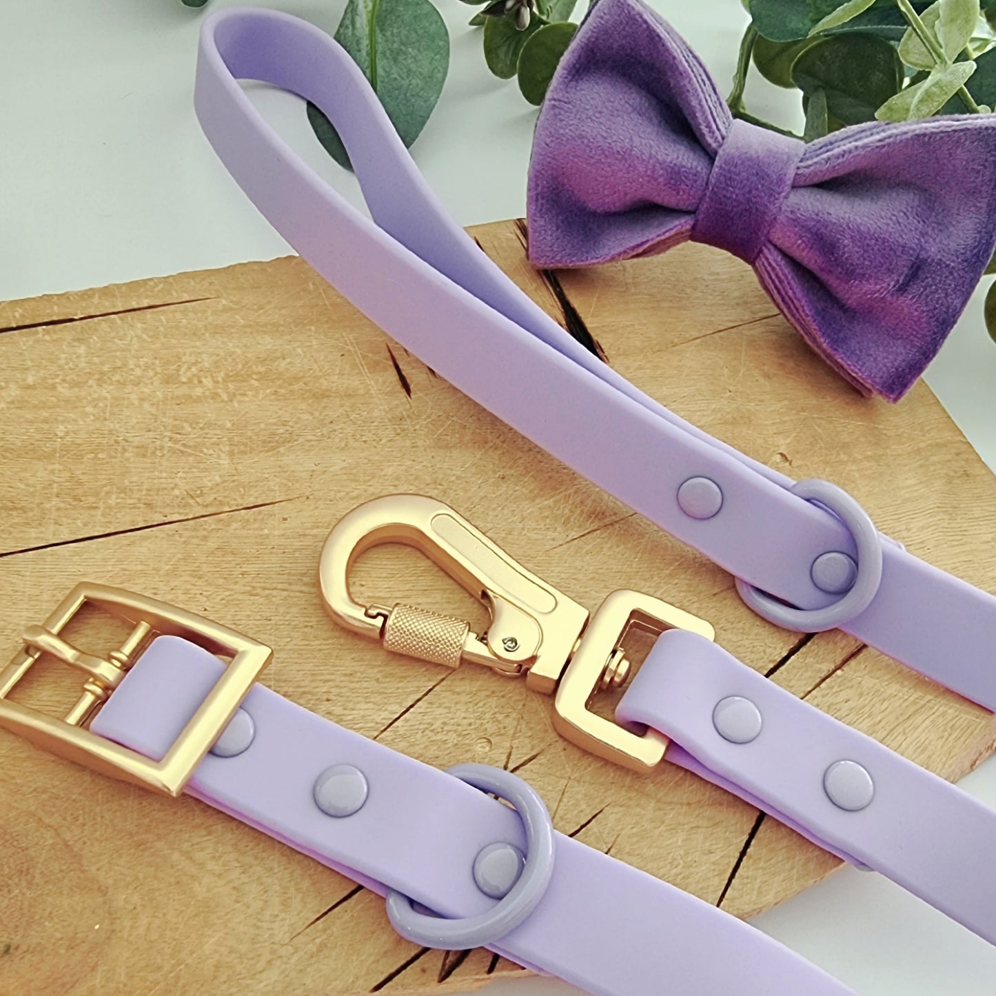 Purple velvet dog bow tie