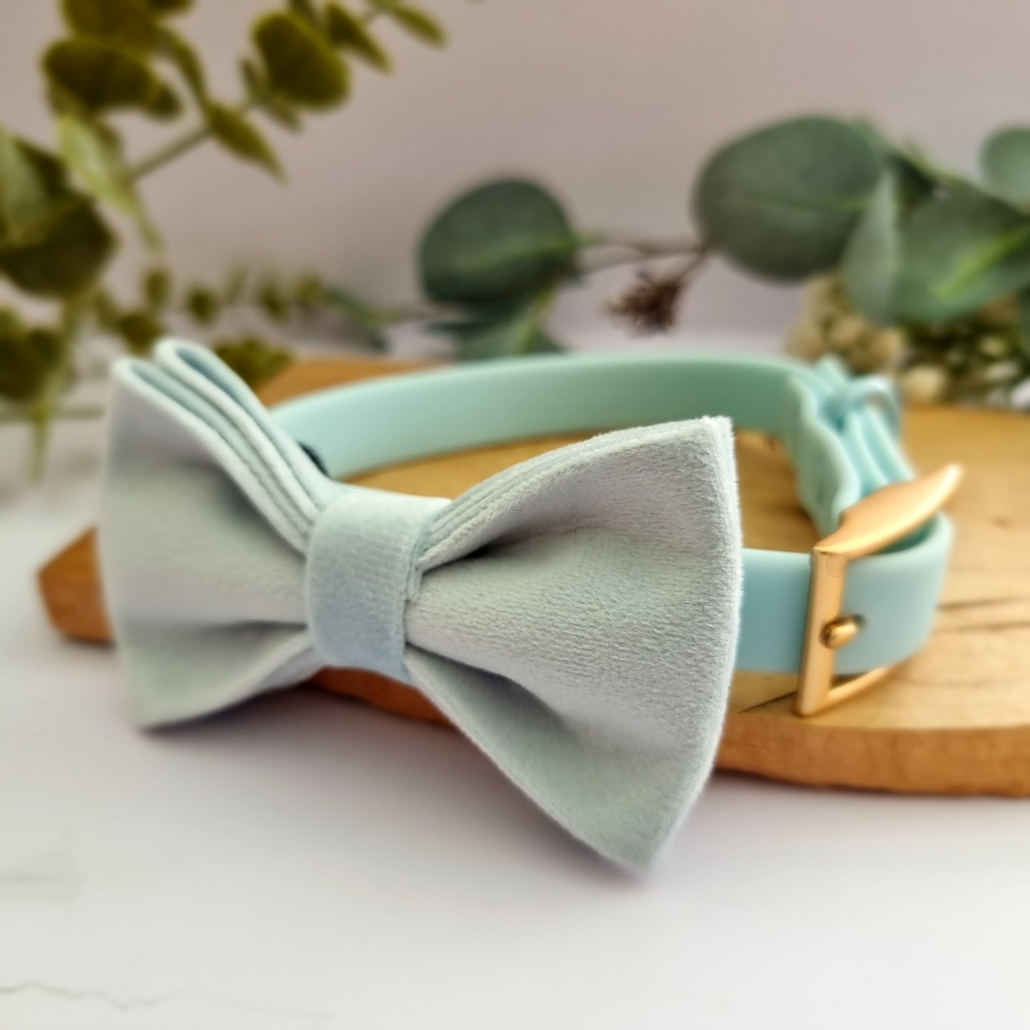 Baby blue velvet dog bow tie