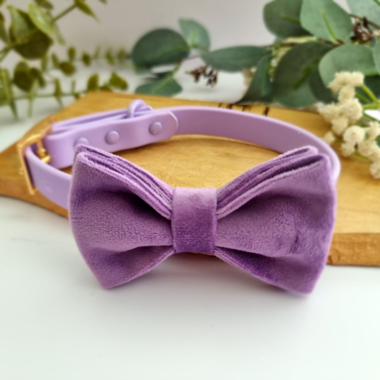Waterproof lilac purple dog collar - PVC