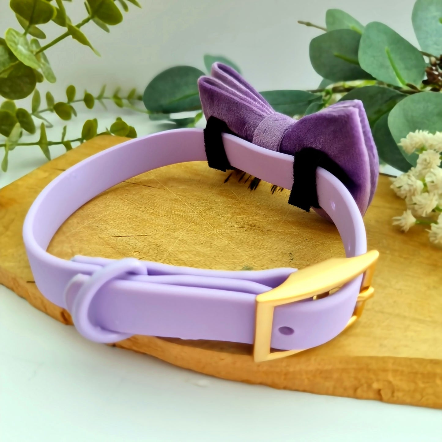 Waterproof lilac purple dog collar - PVC