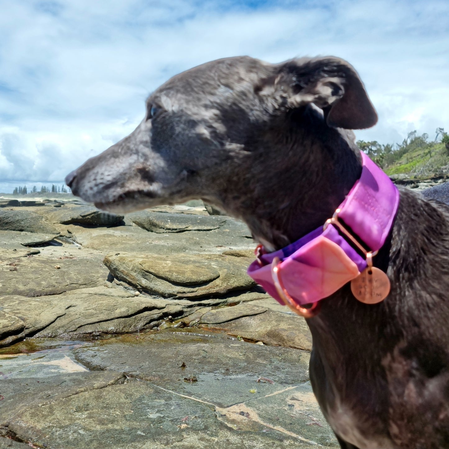 Pink watercolour martingale collar - Water resistant