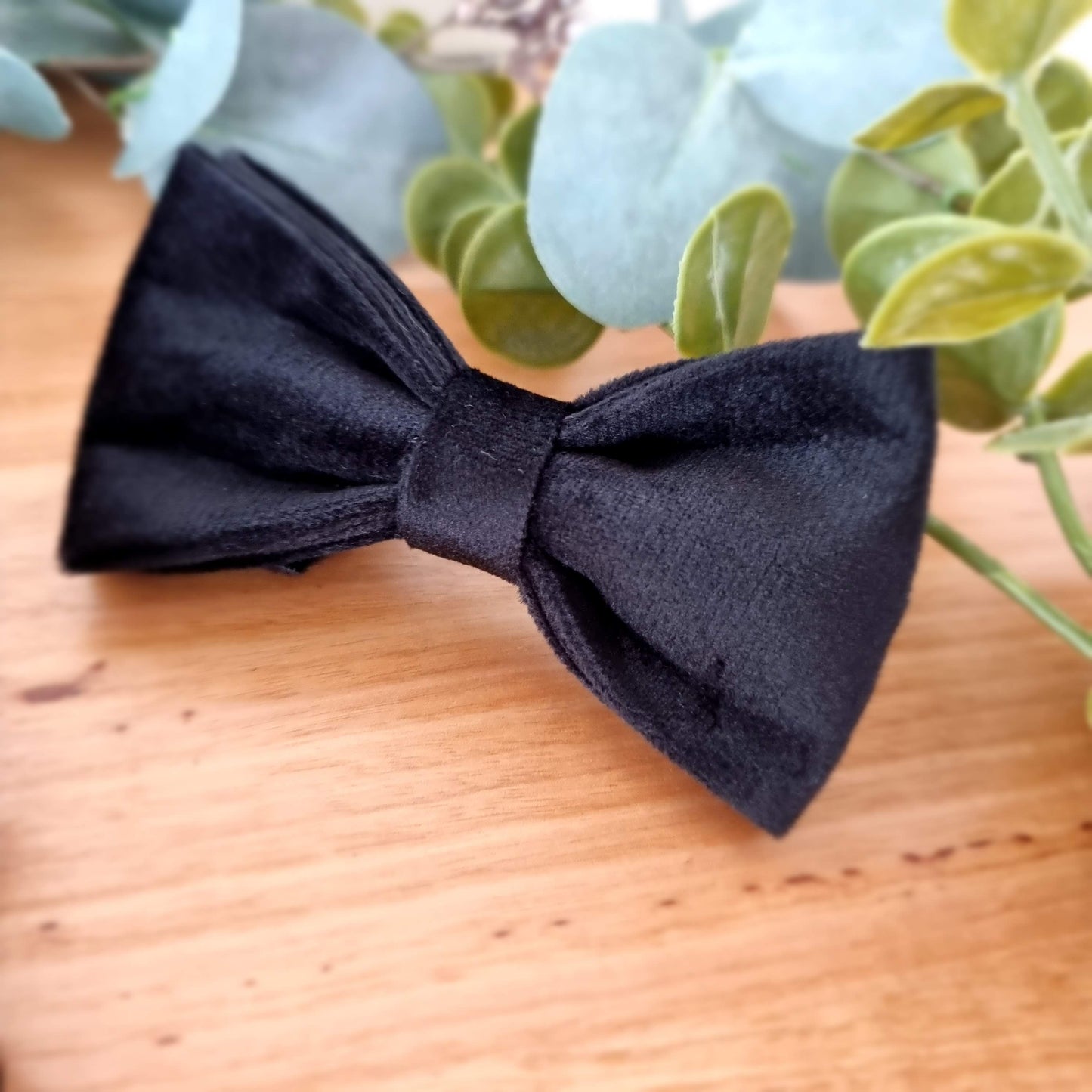 Black velvet dog bow tie