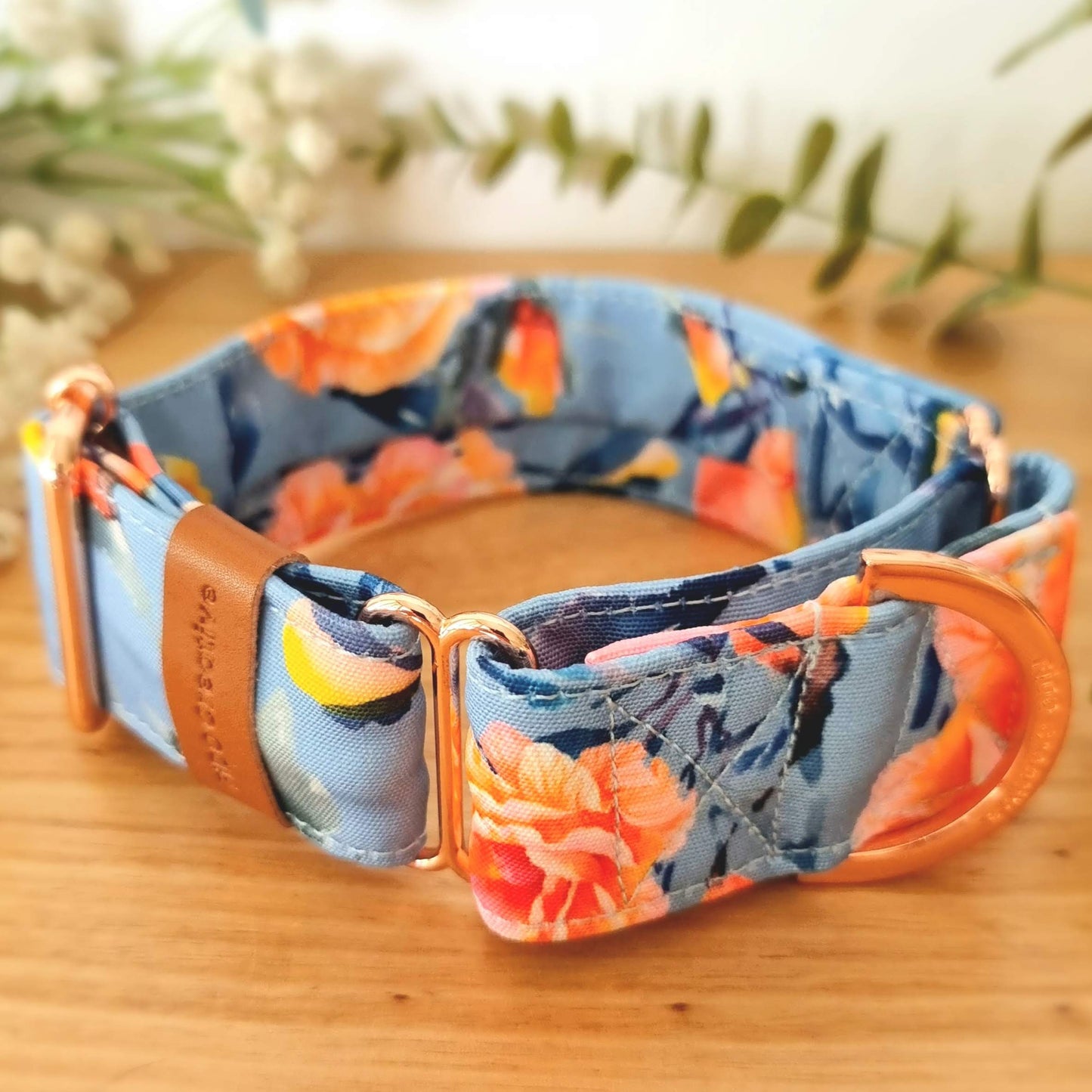Charlie Rose martingale collar - Water resistant