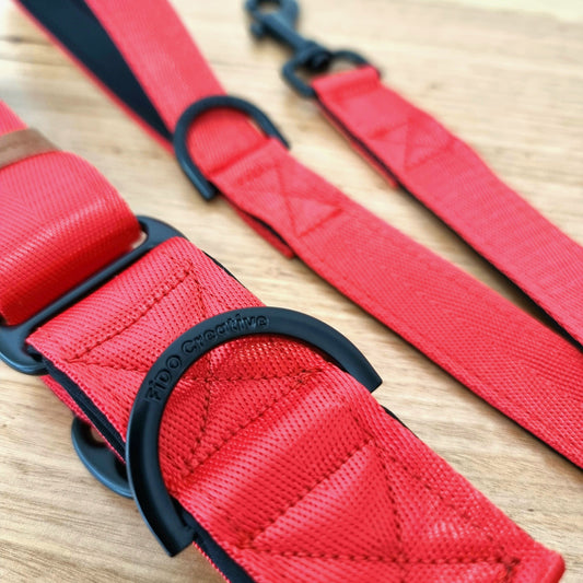 Red neoprene padded martingale collar