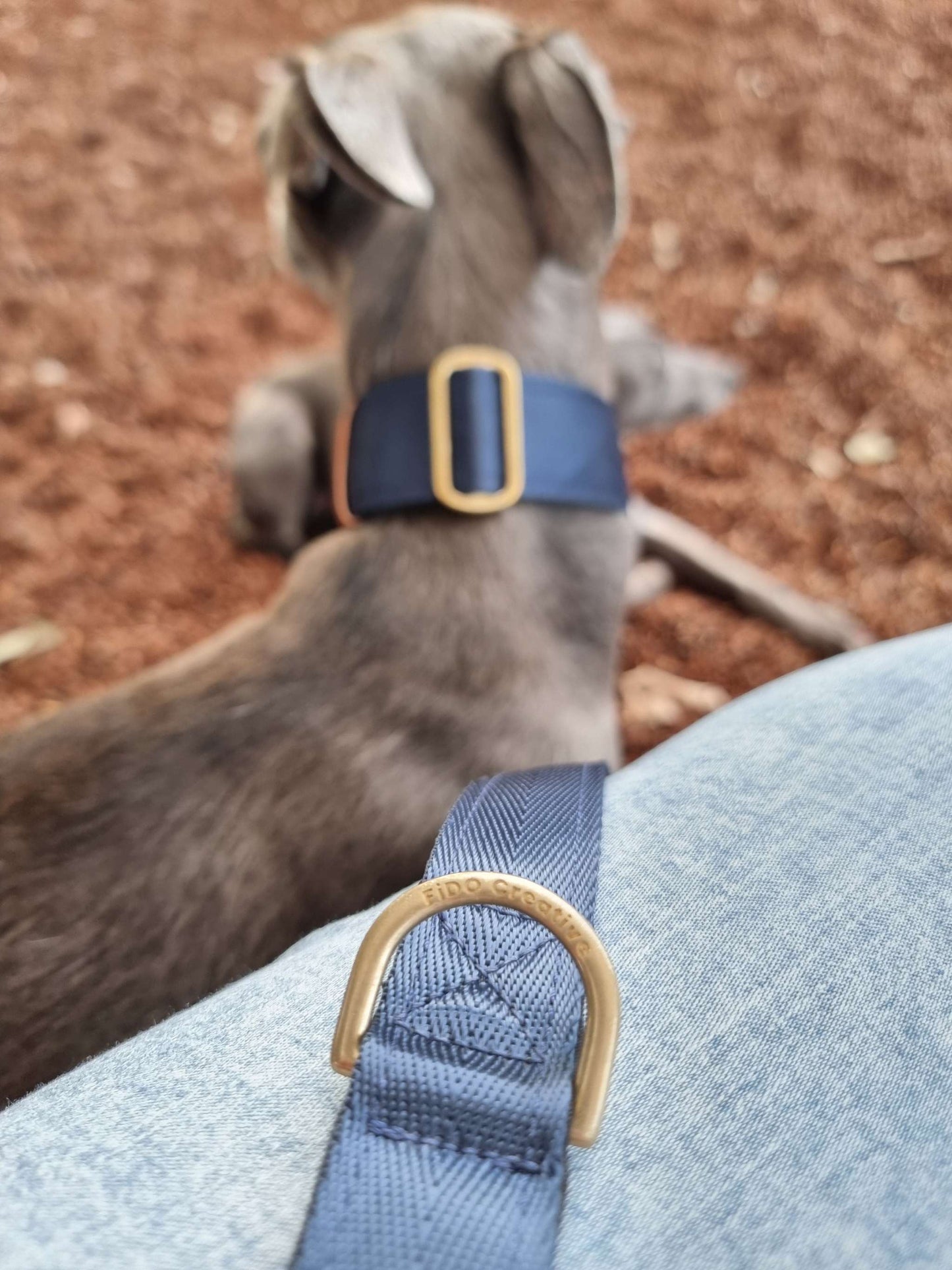 navy blue dog collar and leash with solid brass hardware