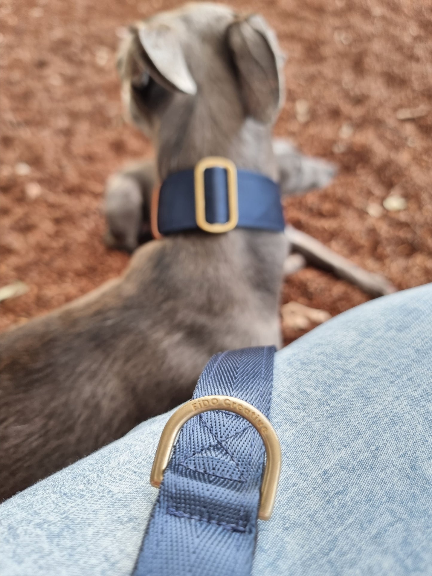 Navy Blue dog leash - neoprene padded