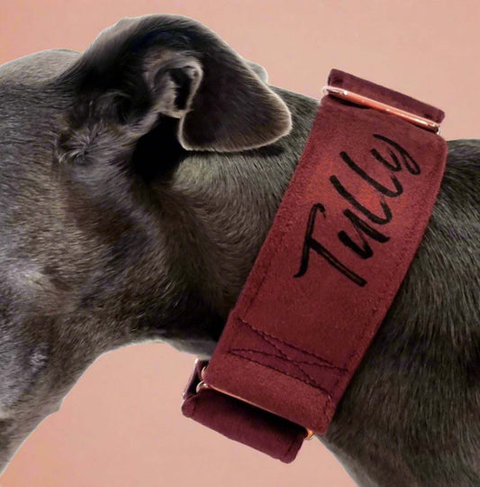 personalised martingale collar