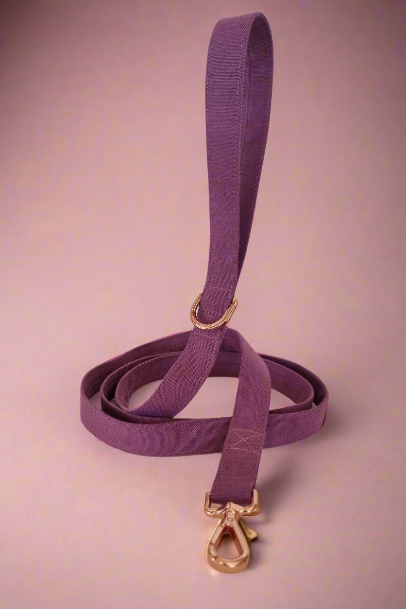 Passiona purple dog leash