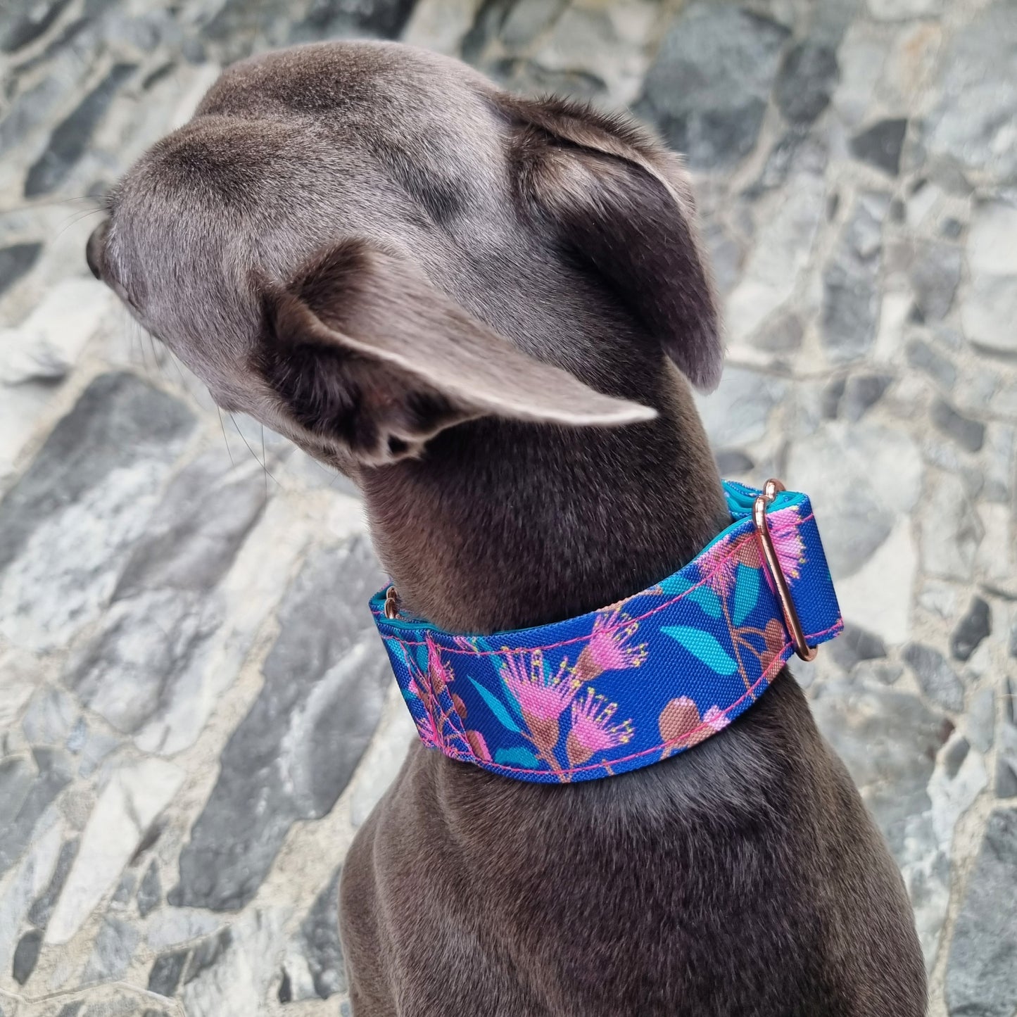 Native gum martingale collar - Water Resistant