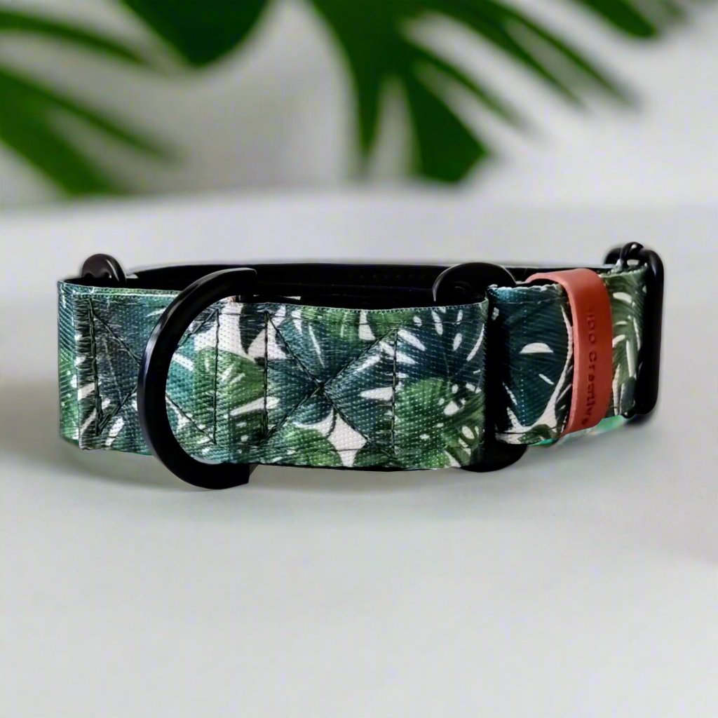 Martingale collar - Monstera leaf - Padded