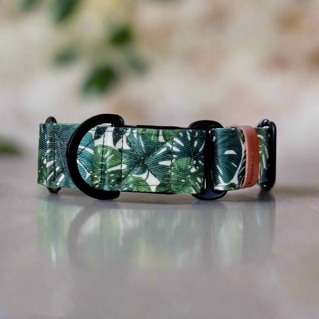 Martingale collar - Monstera leaf - Padded