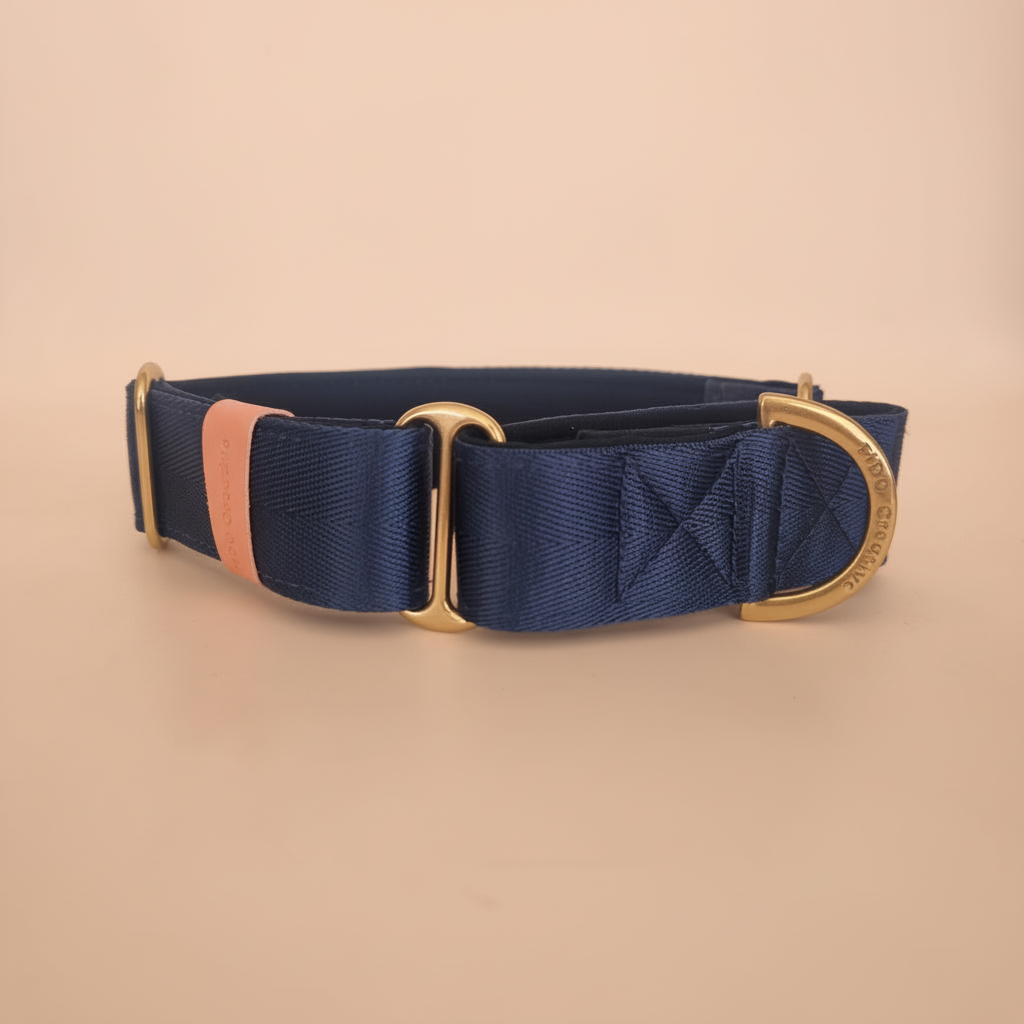 Navy blue martingale collar - Padded & Solid Brass hardware as standard