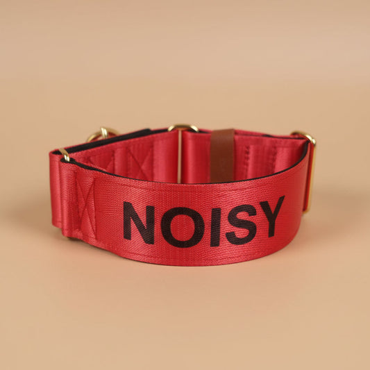Red martingale collar with alert 'NOISY' personalised on it