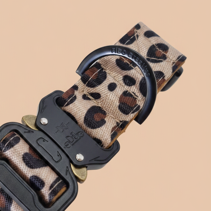 Leopard print dog collar with black hardware on a white background