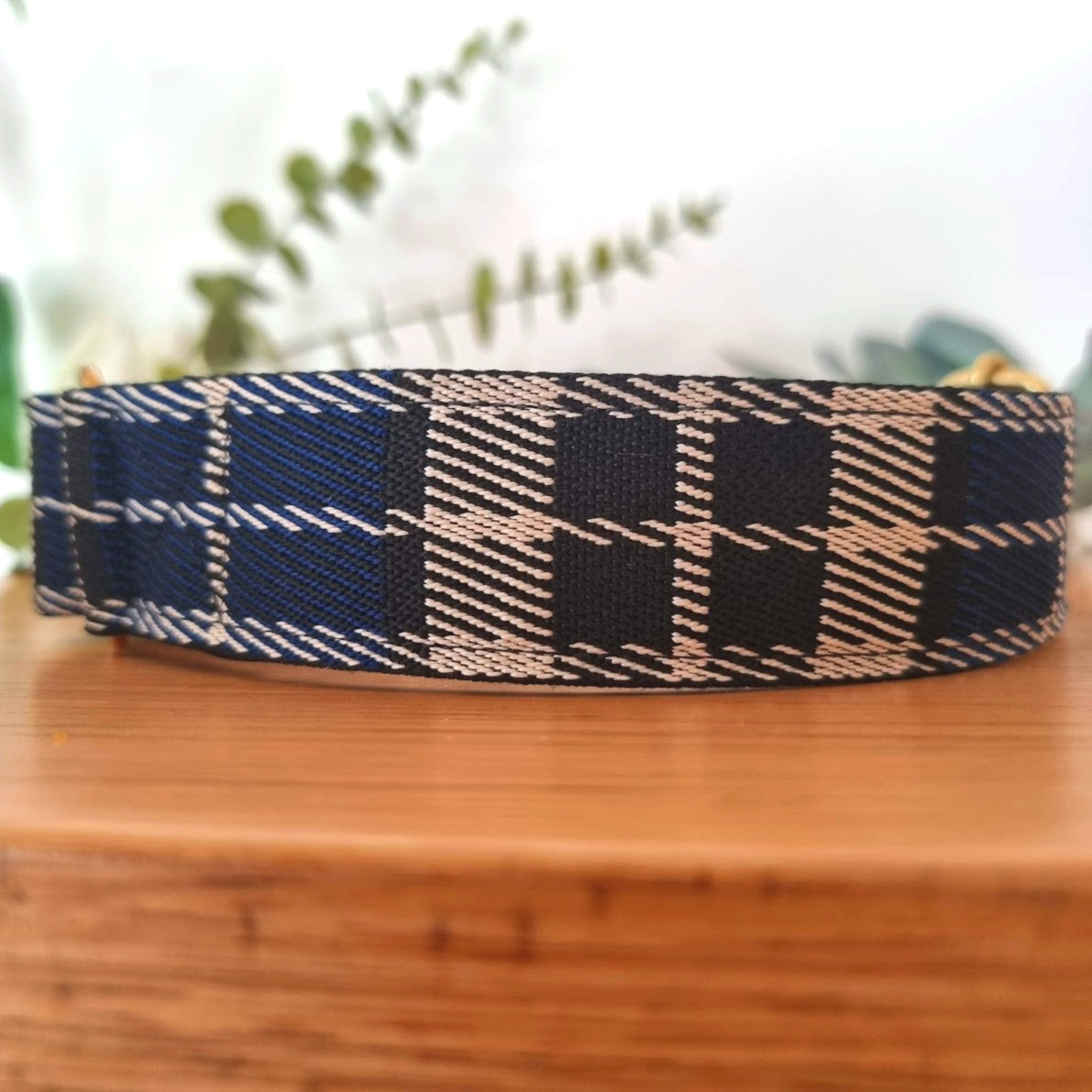 Blue tartan dog collar with padding
