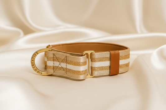 Beige Glitter Dog Collar – Personalised buckle or martingale collar (1.5" Wide)