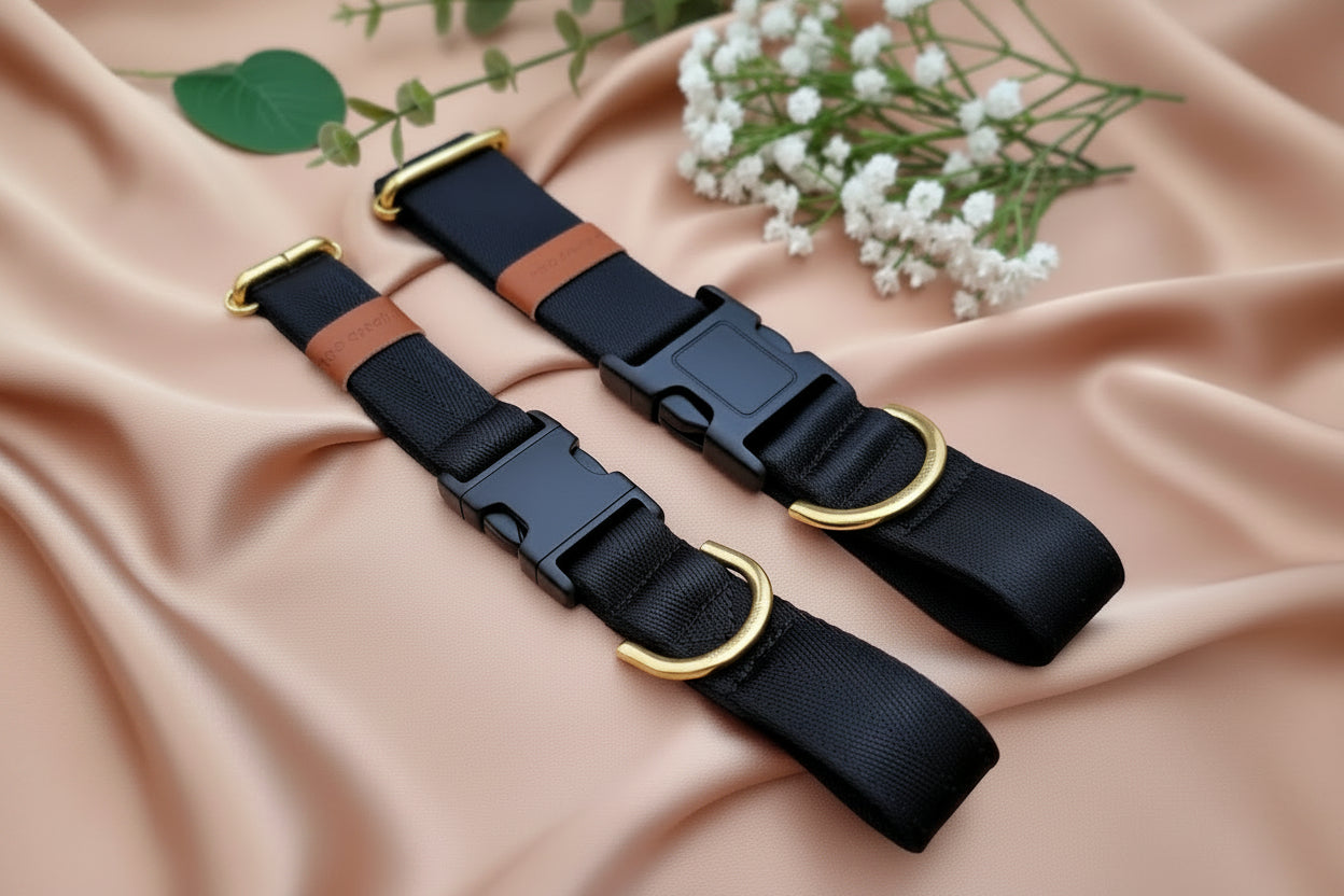 Black dog collar