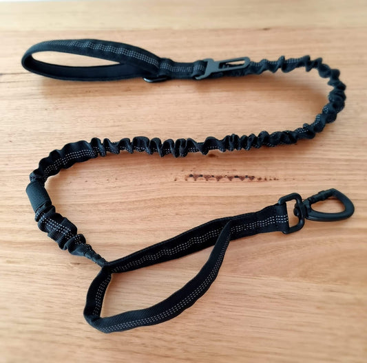 Black Bungee Dog Leash - Reflective - Seatbelt attachment