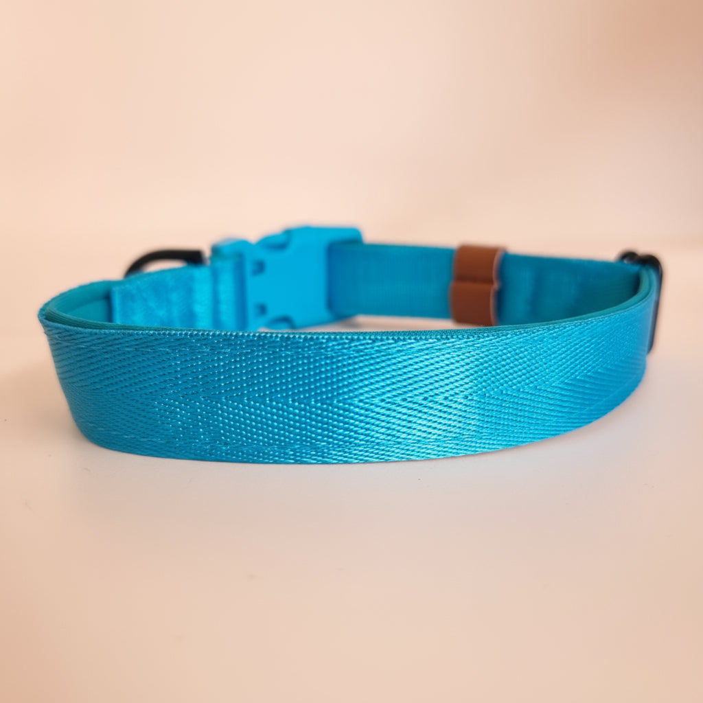 Blue dog collar with padding