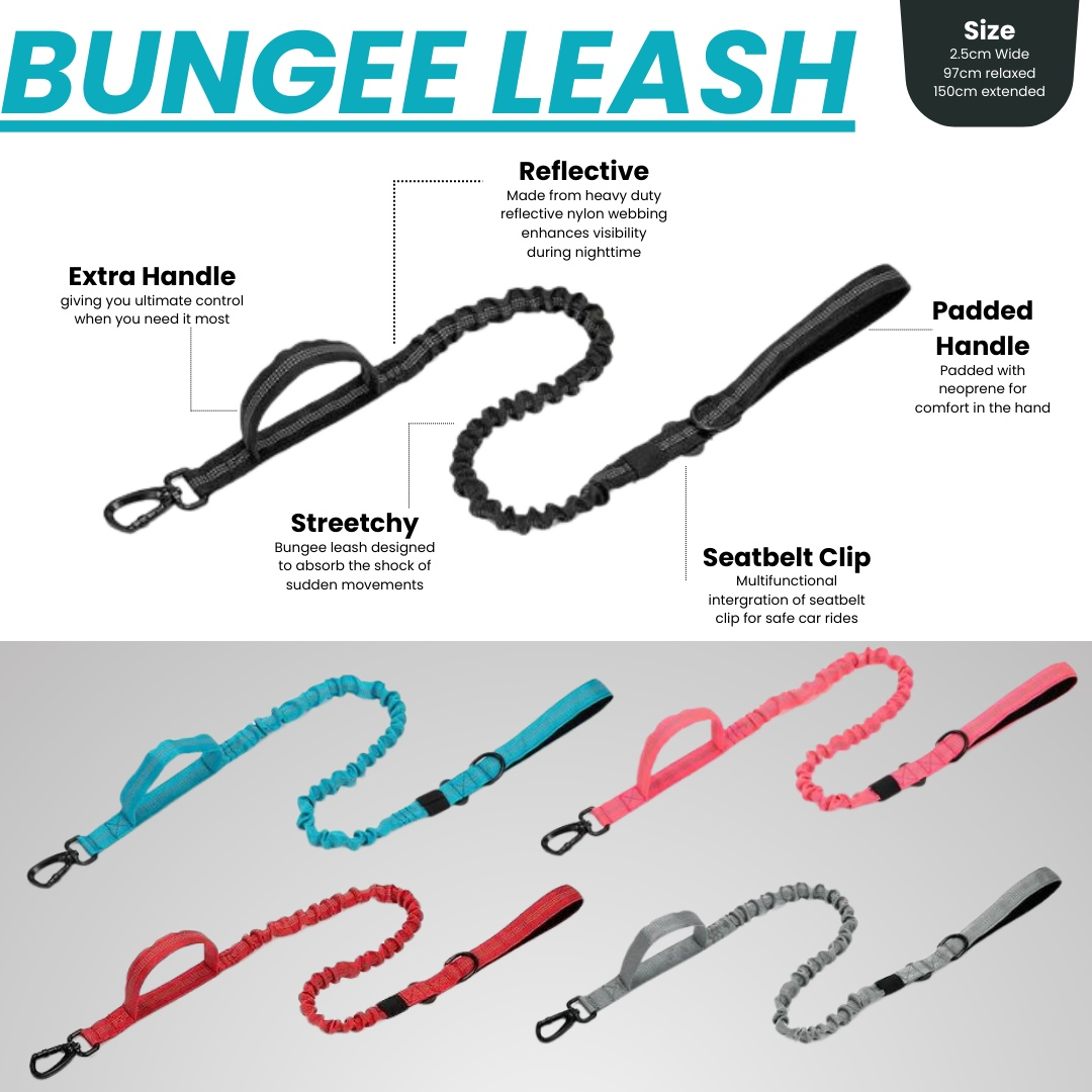 Pink Bungee Dog Leash - Reflective - Seatbelt attachment
