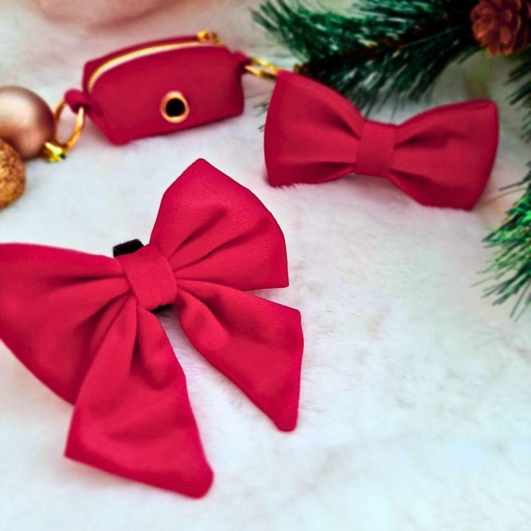 Dog Christmas accessories - Red dog bowtie