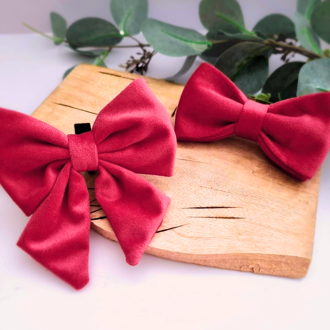 Christmas dog bow tie