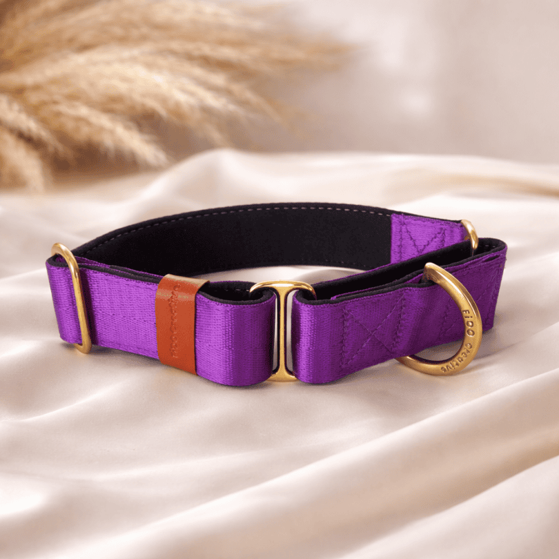 Purple martingale dog collar