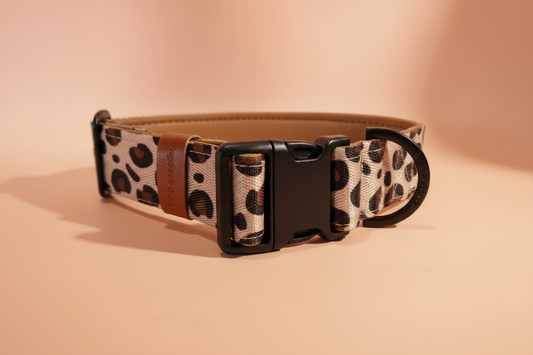 Leopard dog collar with buckle - Personalised name dog collar