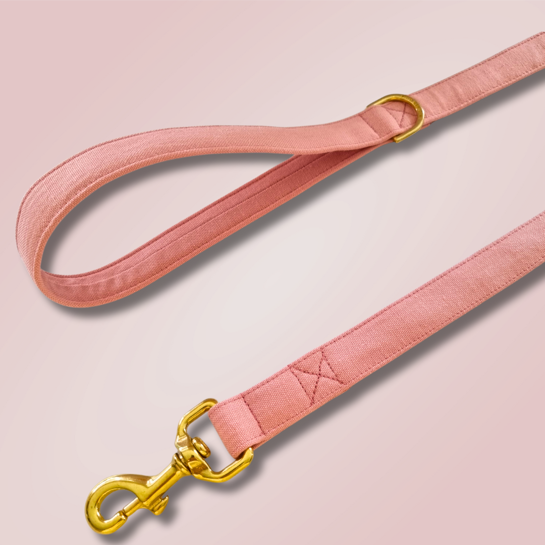 Dusty pink leash