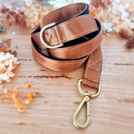 brown dog leash with solid brass