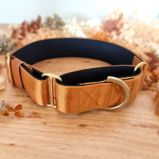Tawny brown neoprene padded martingale collar - Solid Brass