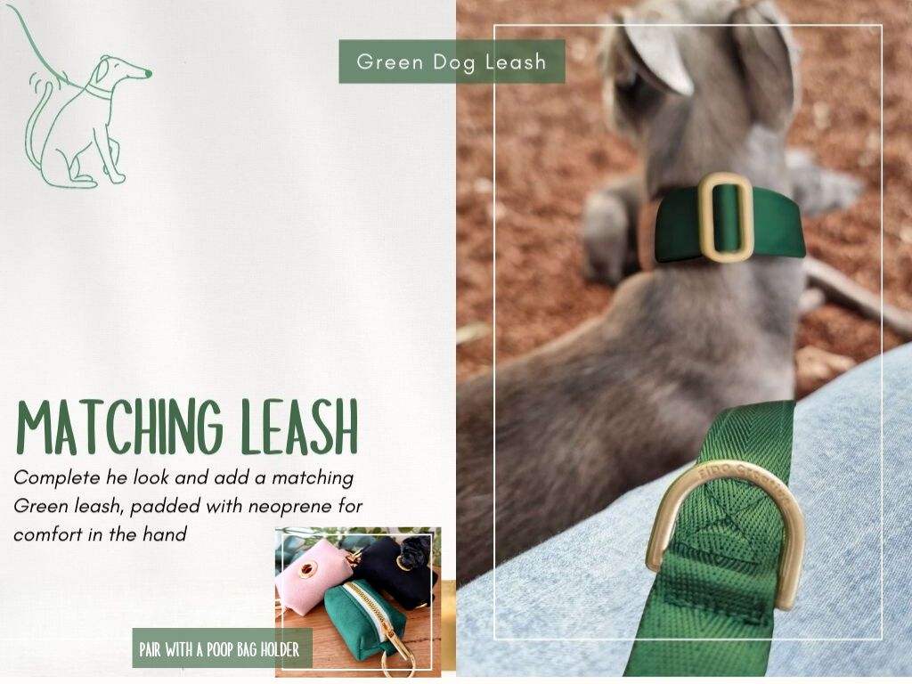 Green Martingale collar - Padded