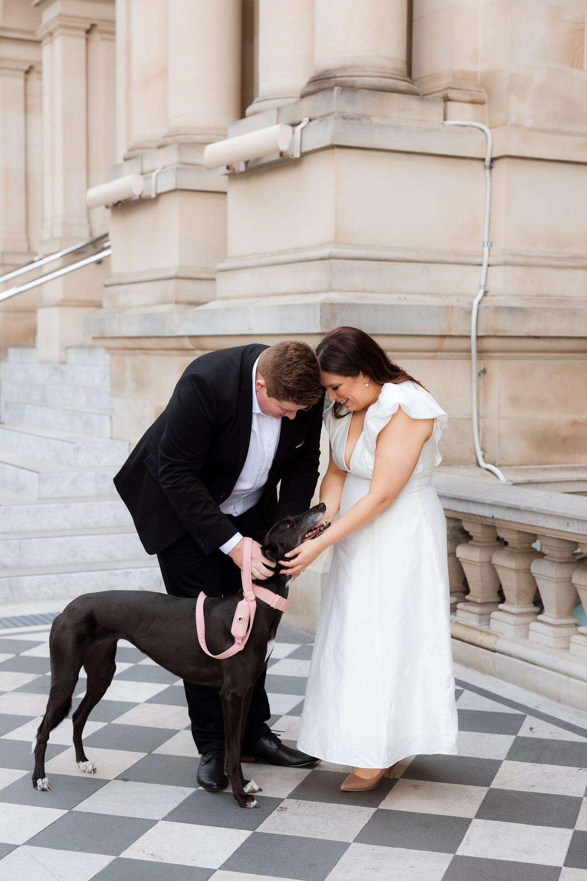 Dusty pink leash