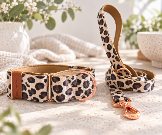 Leopard Print Martingale Dog Collar – Padded, personalised with Dog’s Name Optional