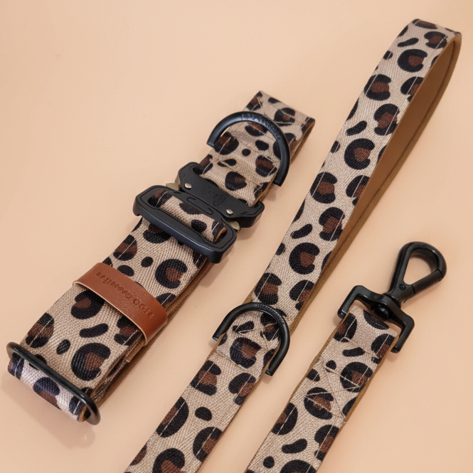 Leopard print dog collar and leash set