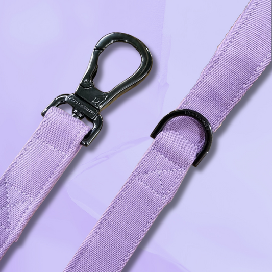 Lilac purple leash