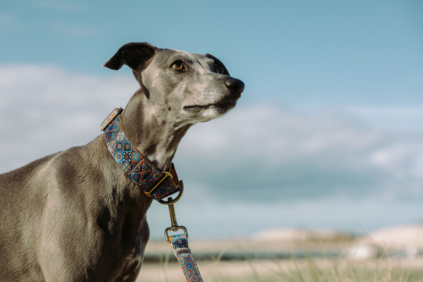Martingale Dog Collar – Mosaic Pattern, Soft Neoprene Padding, Adjustable Training Collar with Brass Hardware